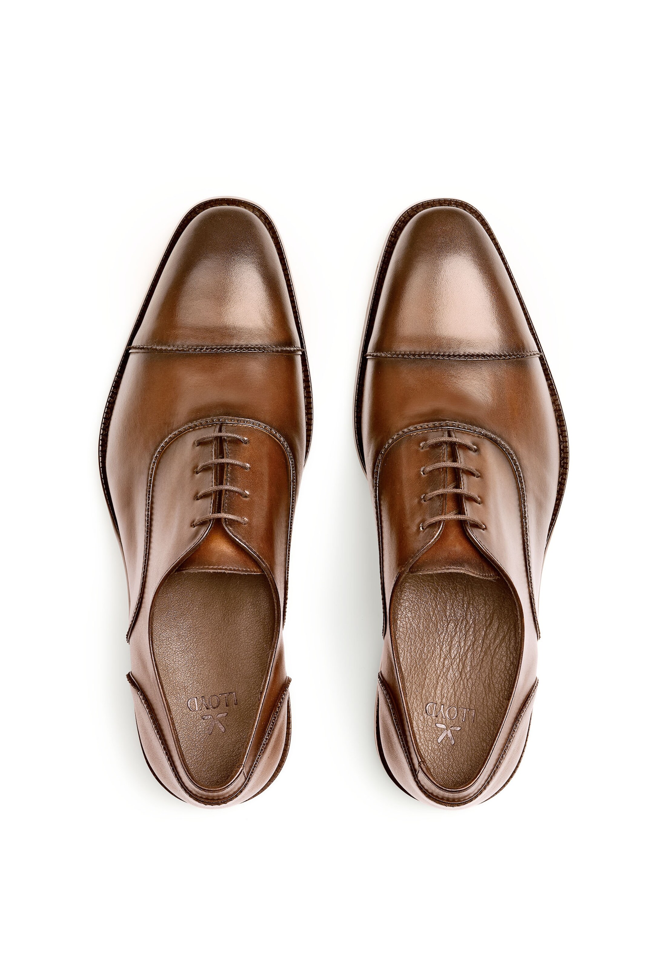 LLOYD Schuhe 'NOBEL' in Braun