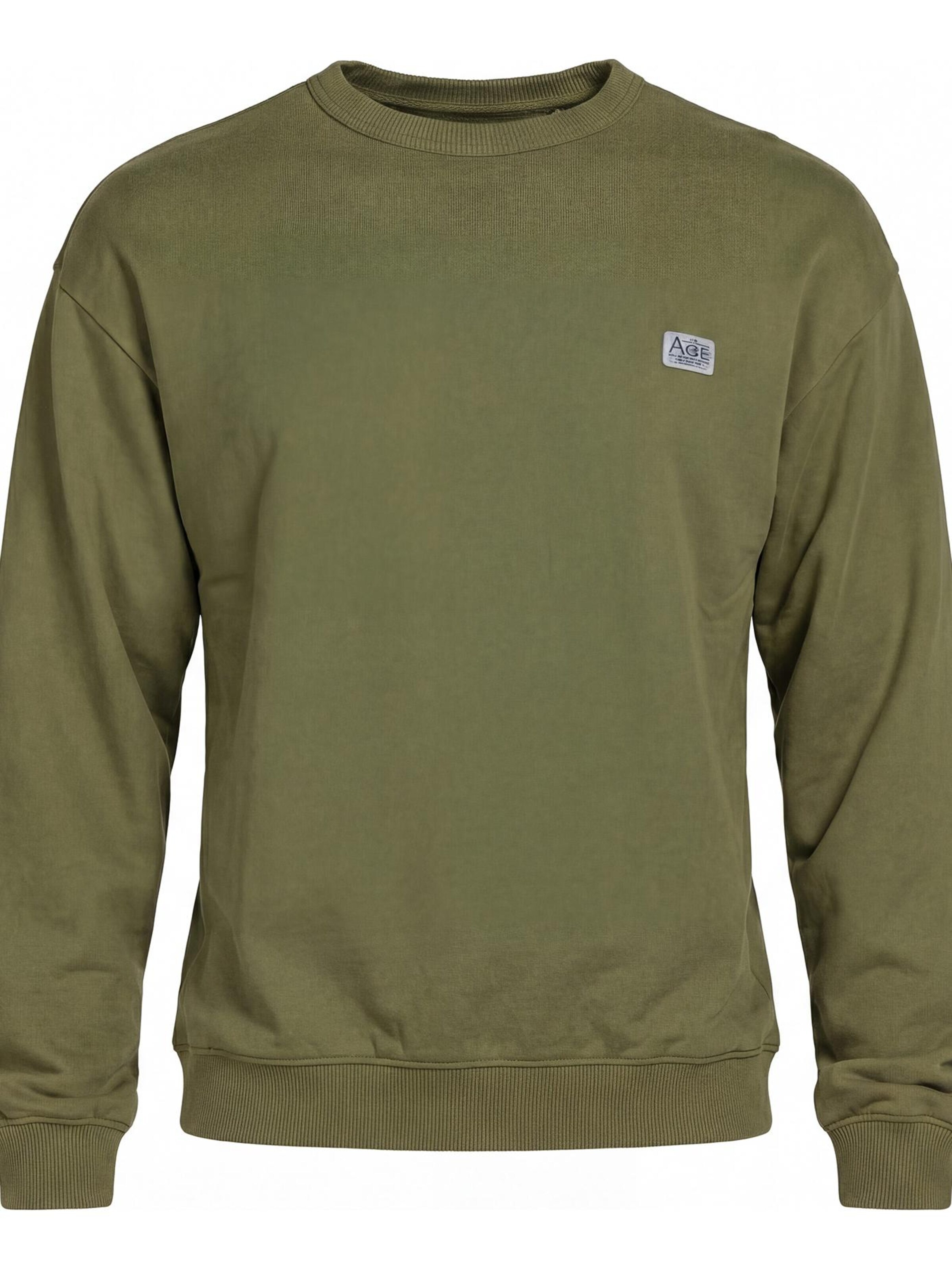 Carrera Jeans Sweatshirt 'Boxy Fit'‌‌‌‌‌‌ in Grün