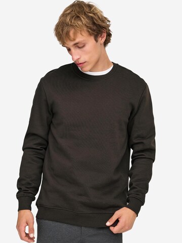 Only & Sons Sweatshirt 'Connor' in Brown