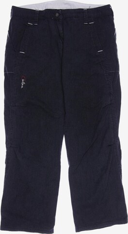 Chillaz Pants in XL in Grey: front