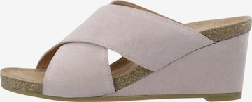 Ca'Shott Pistokkaat 'Alberta' värissä lila: etupuoli