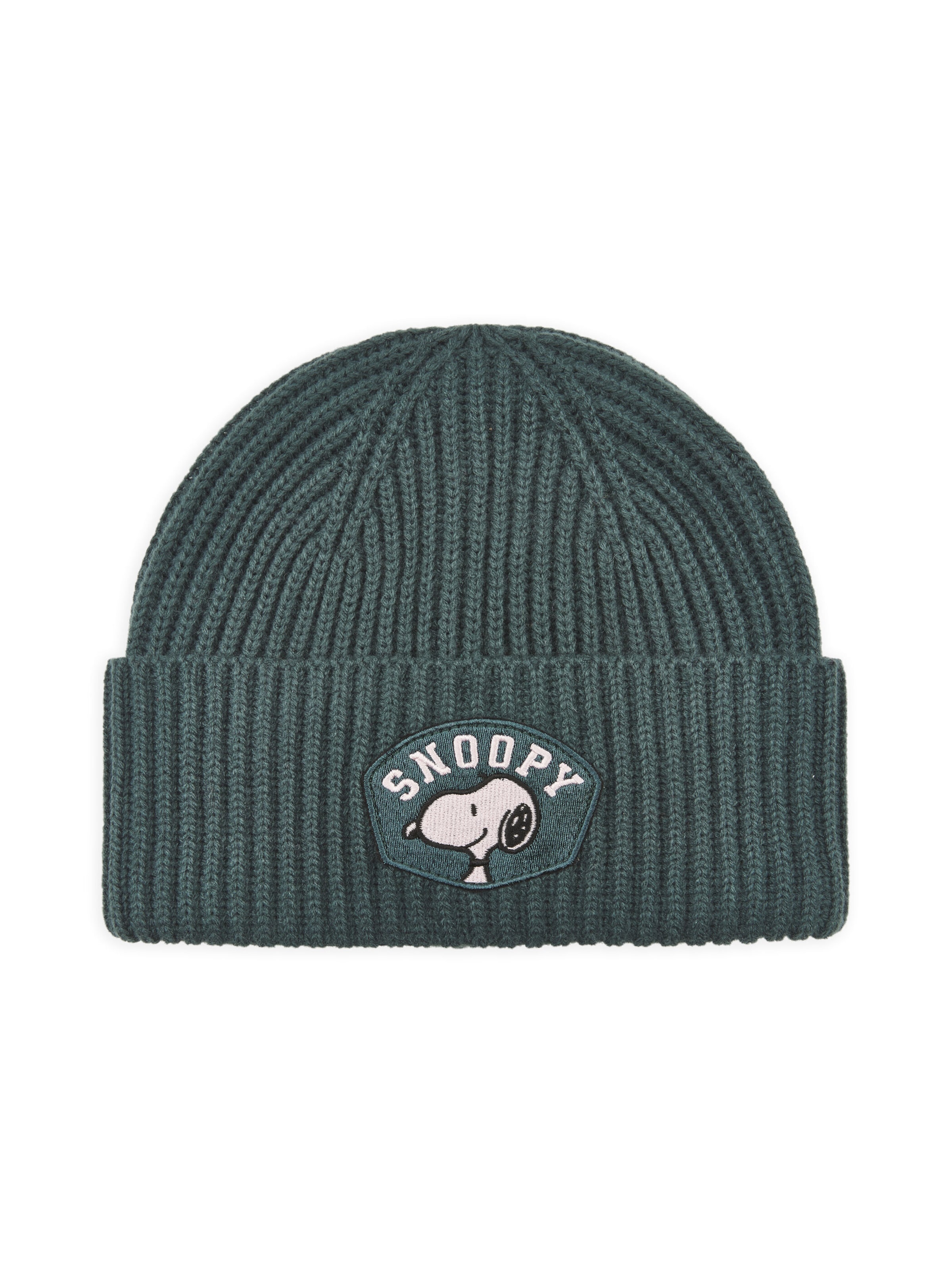CODELLO Beanie in Green: front