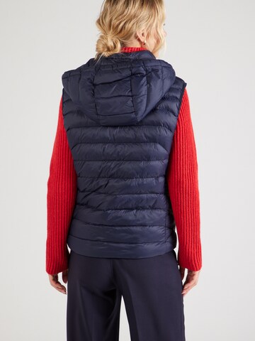 Polo Ralph Lauren Жилетка в Синий