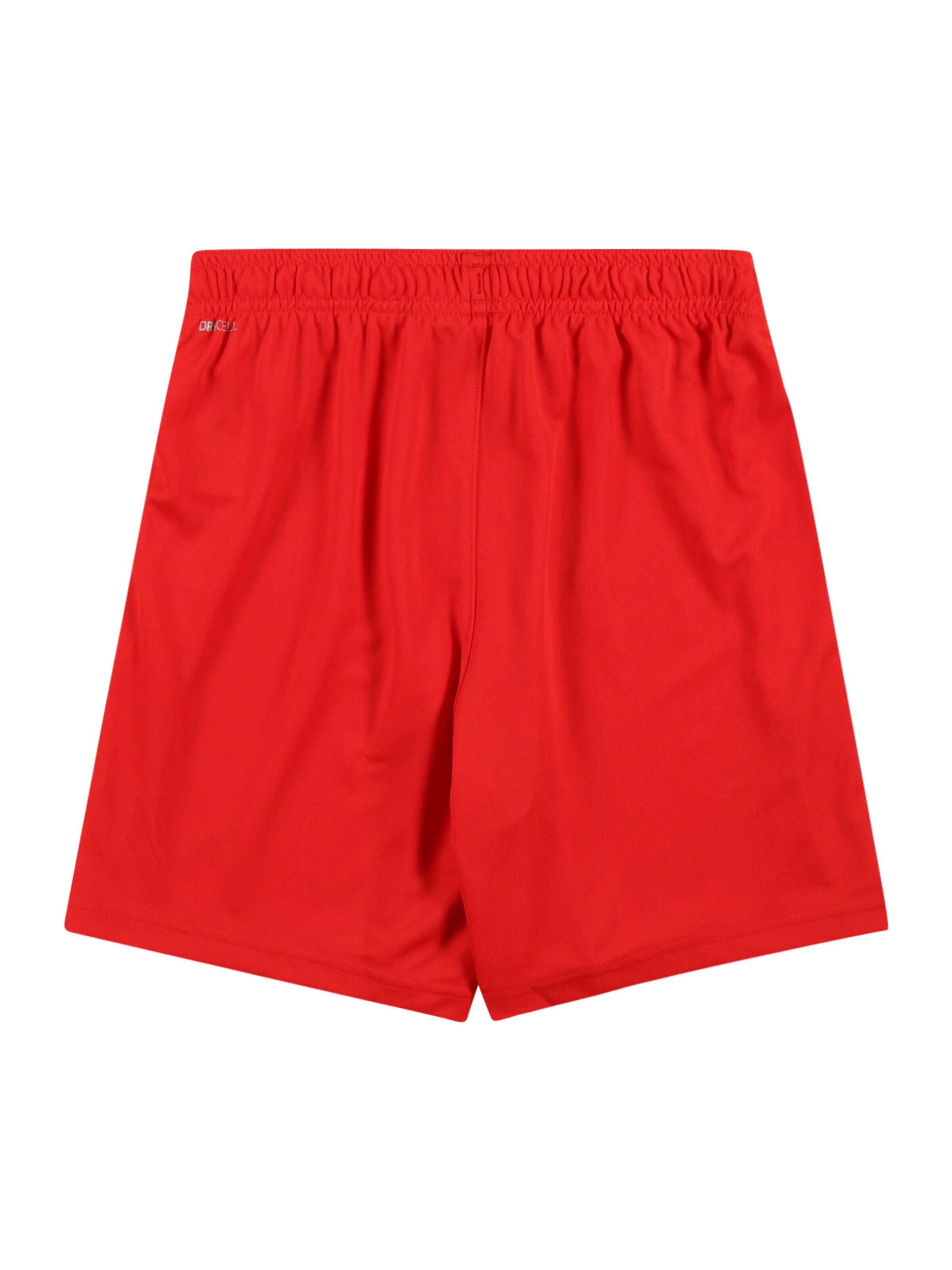 Regular Pantalon de sport 'TeamLiga' PUMA en rouge