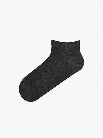 Penti Sukapöiad 'PENTI Leopard Everyday Paar Sneaker-Socken', värv segavärvid