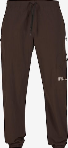 Loosefit Pantalon cargo HALO en marron : devant