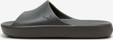 PUMA Sandals 'Shibui Cat' in Grey: front