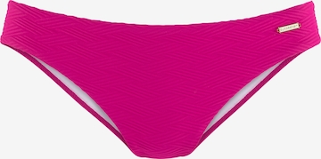 SUNSEEKER Bikini Bottoms in Pink: front