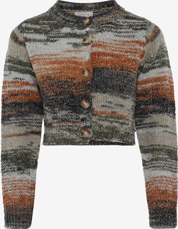 Tanuna Knit Cardigan in Mixed colors: front