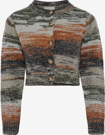 Cardigan Tanuna en mélange de couleurs : devant