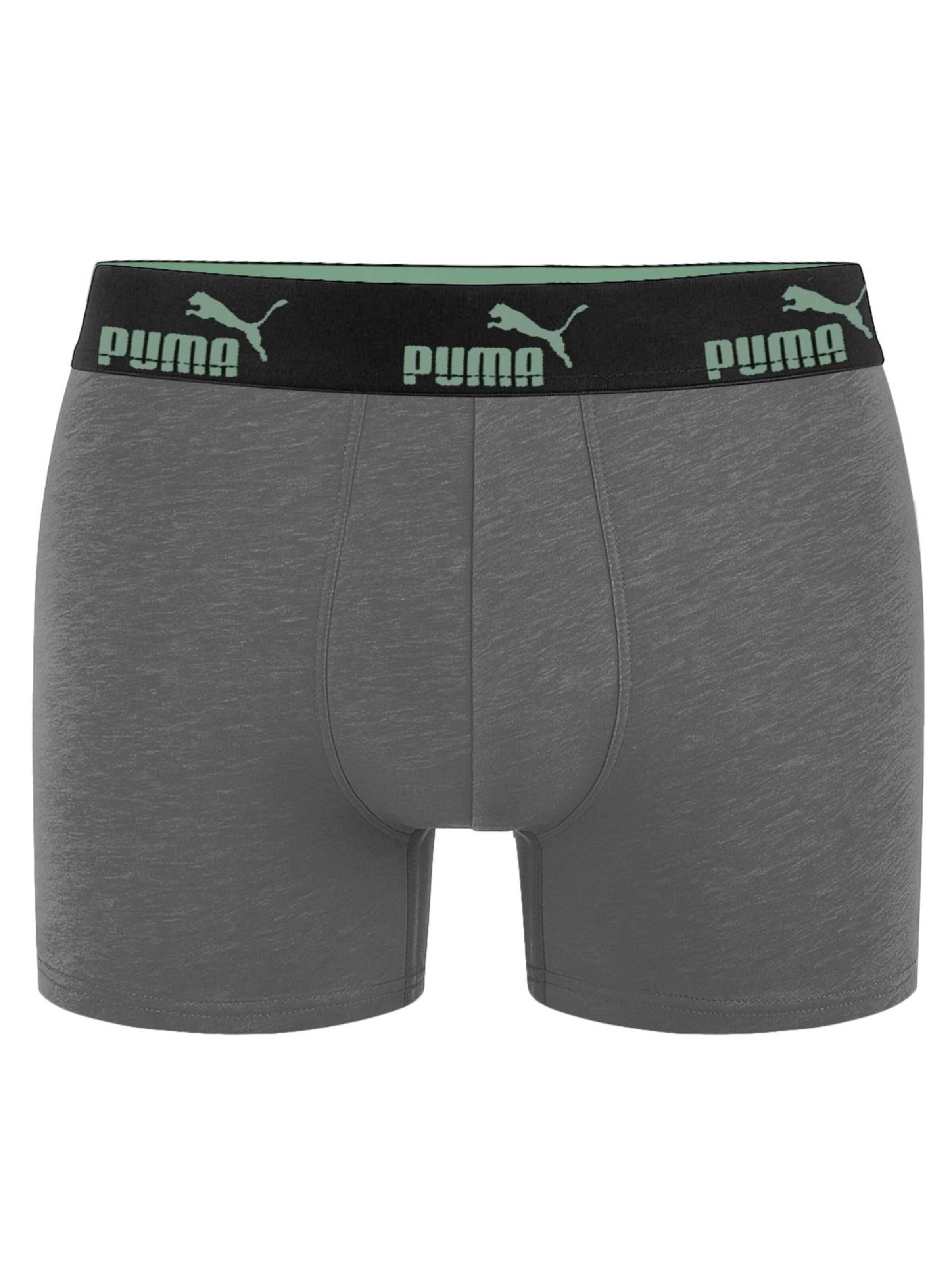 PUMA Boxershorts in Groen