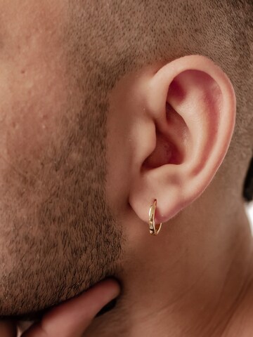 Hey Happiness Oorbel 'Band' in Goud