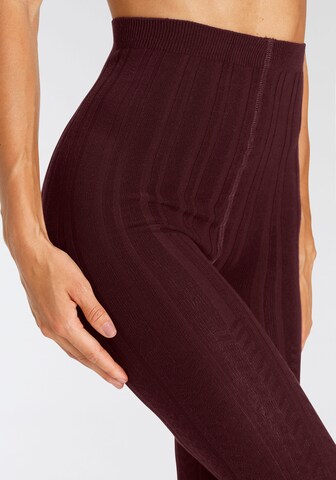 LASCANA Tights in Purple
