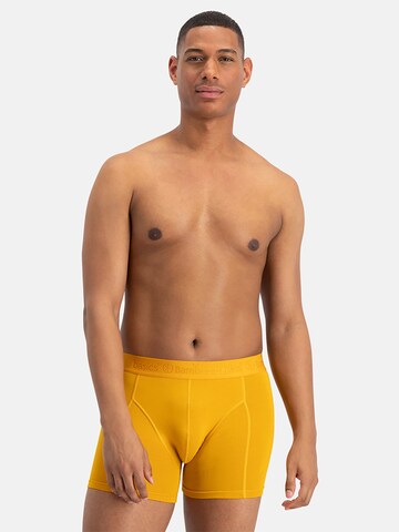 Bamboo basics Boxershorts 'Rico' in Geel: voorkant