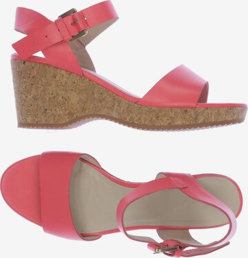 Boden Sandals & High-Heeled Sandals in 41 in Pink: front