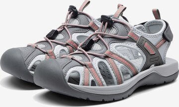 Dream Pairs T-bar sandals in Grey: front