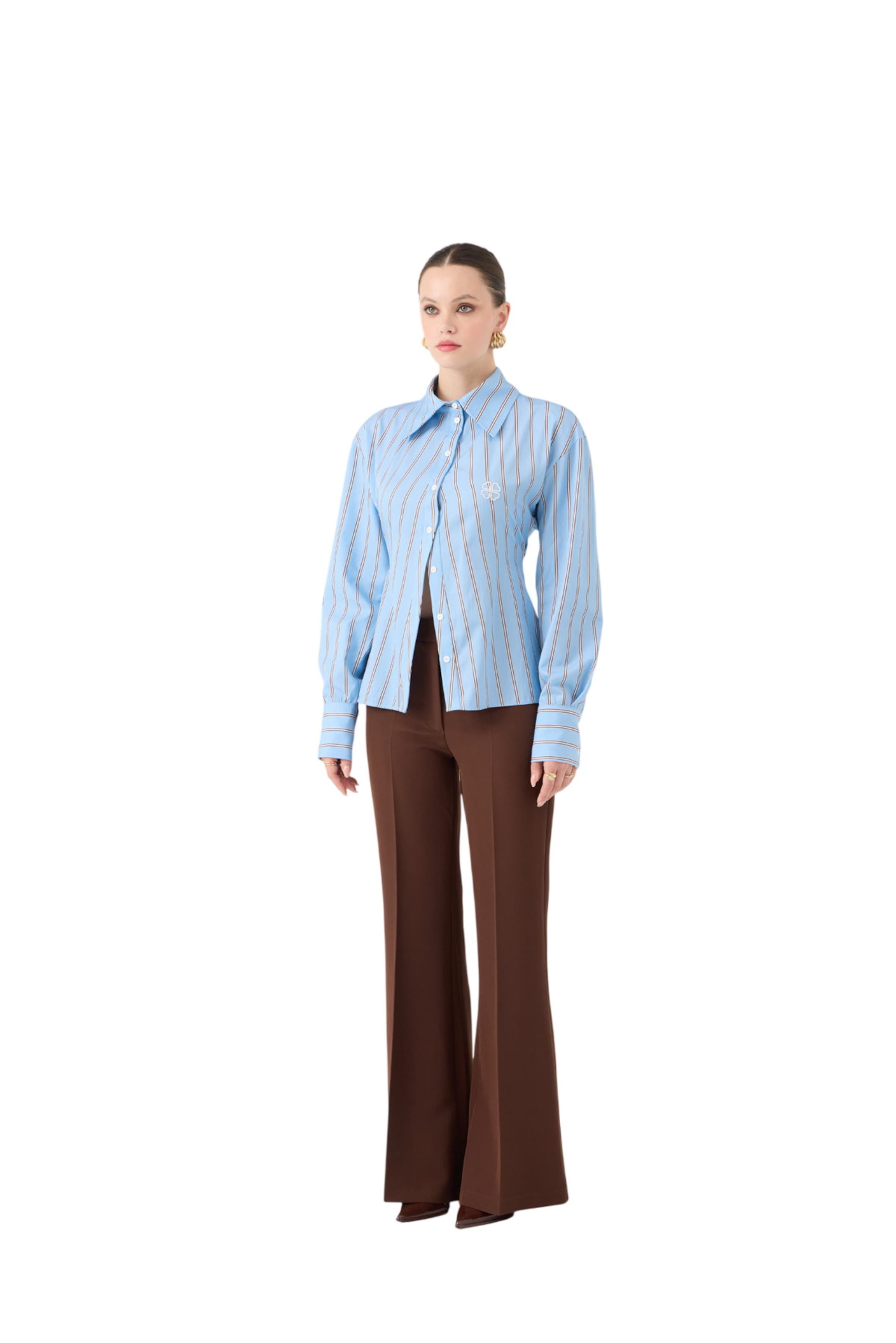 HOLLY LOLLY Flared Pleated Pants in Brown