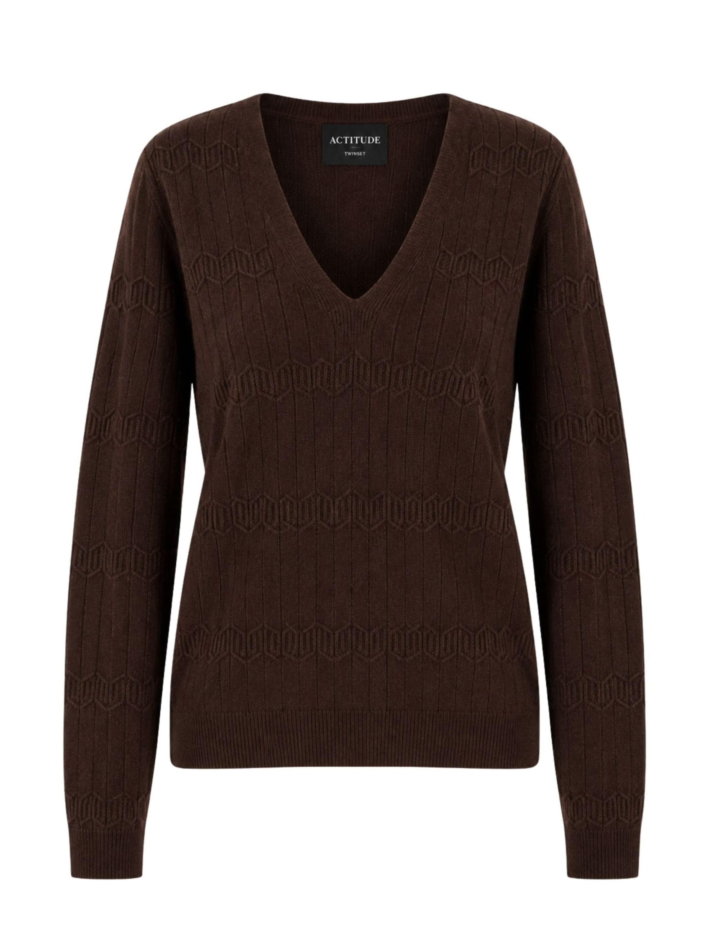 Twinset Sweater 'ACTITUDE 100% wool jumper' in Brown: front