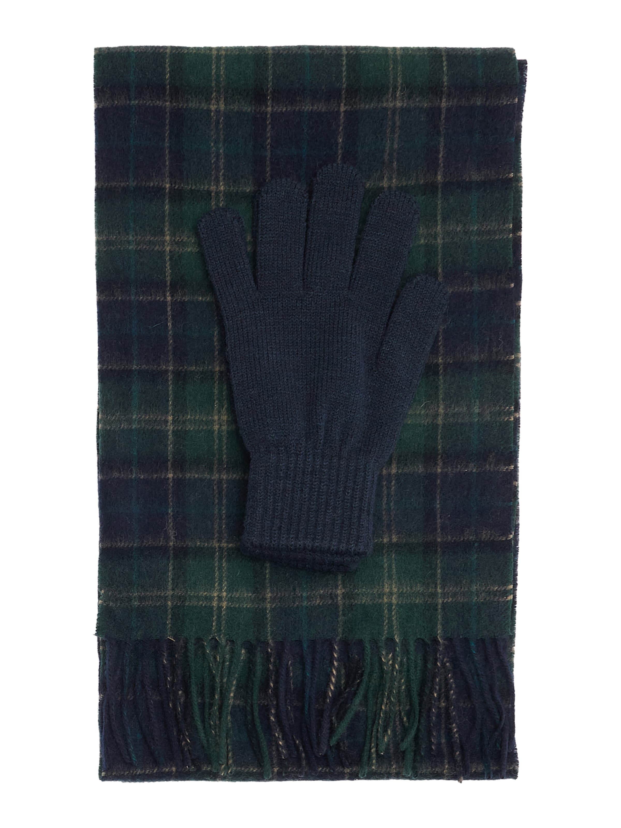 Barbour Kaulaliina 'Tartan' värissä sininen: etupuoli