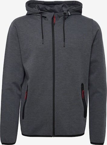 !Solid Zip-Up Hoodie 'Sdvidit' in Grey: front