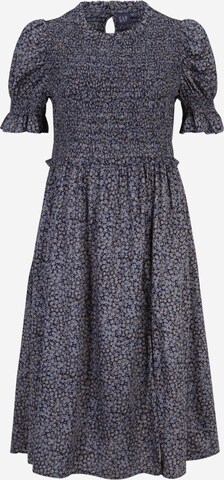 GAP Kleid in Blau: predná strana