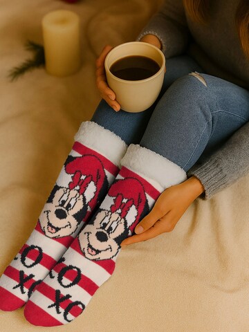 MICKEY MOUSE Socks 'Hüttensocken XOXO' in Red