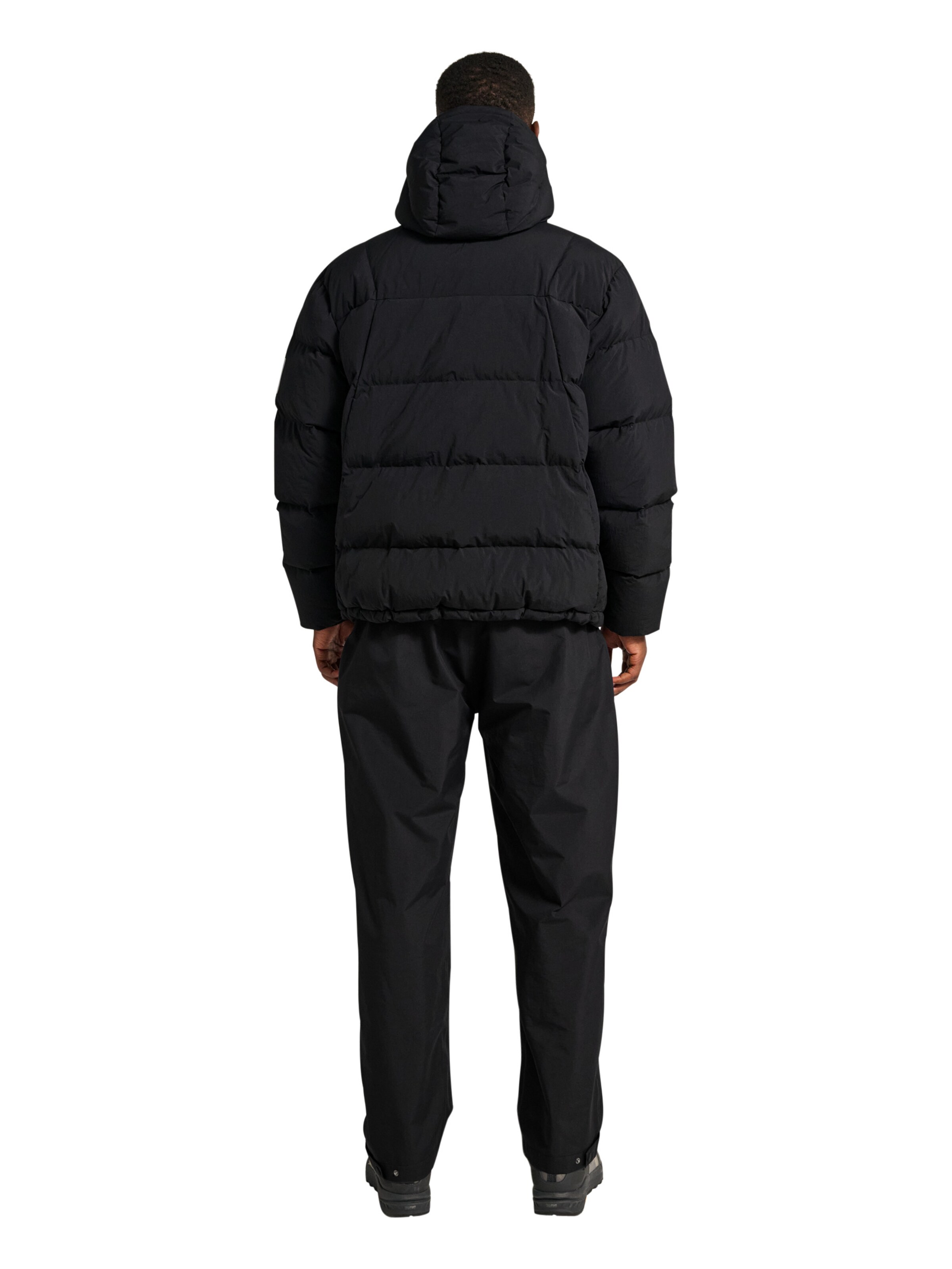 HALO Between-season jacket 'Maverick' in Black