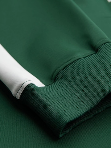 Regular Pantalon 'OM-PASK-0229' Ombre en vert