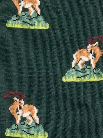 DillySocks Sokken 'Animal Adventures' in Gemengde kleuren