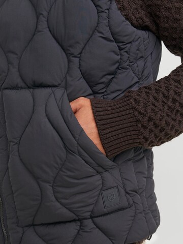 JACK & JONES Bodywarmer in Zwart