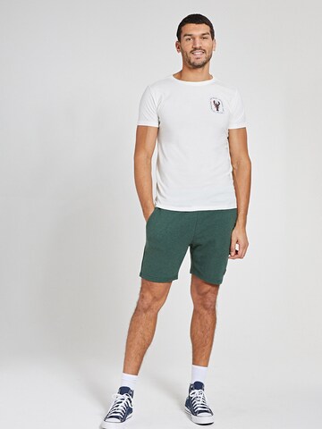 Regular Pantalon Shiwi en vert