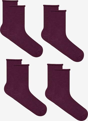 Albero Natur Socks 'Bio-Baumwoll-Socken mit Rollrand Unisex – 4er Pack' in Red: front