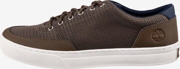 TIMBERLAND Sneaker in Braun: predná strana