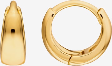 Heideman Earrings 'Harriet' in Gold: front