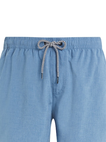 PROTEST Badeshorts 'DAVEY' in Blau: Vorderseite