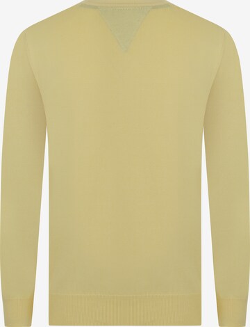 DENIM CULTURE Sweater 'Silvestro' in Yellow