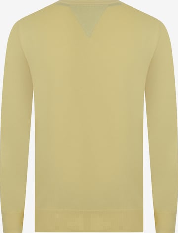 DENIM CULTURE Pullover 'Silvestro' i gul