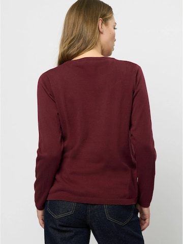 U.S. POLO ASSN. Pullover 'May' in Rot