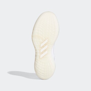 Chaussure de sport 'Harden Stepback 2' ADIDAS SPORTSWEAR en blanc