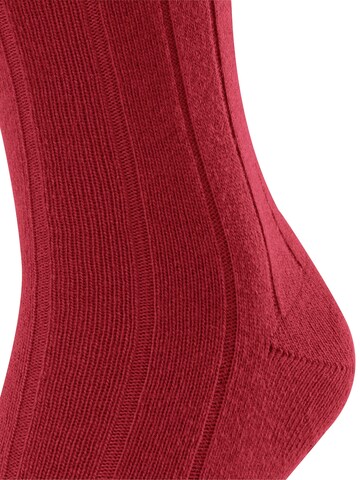 FALKE Socks 'Lhasa Rib' in Red