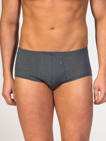 zd ZERO DEFECTS Slip 'Senior Fly Front Brief' in Grau: Vorderseite