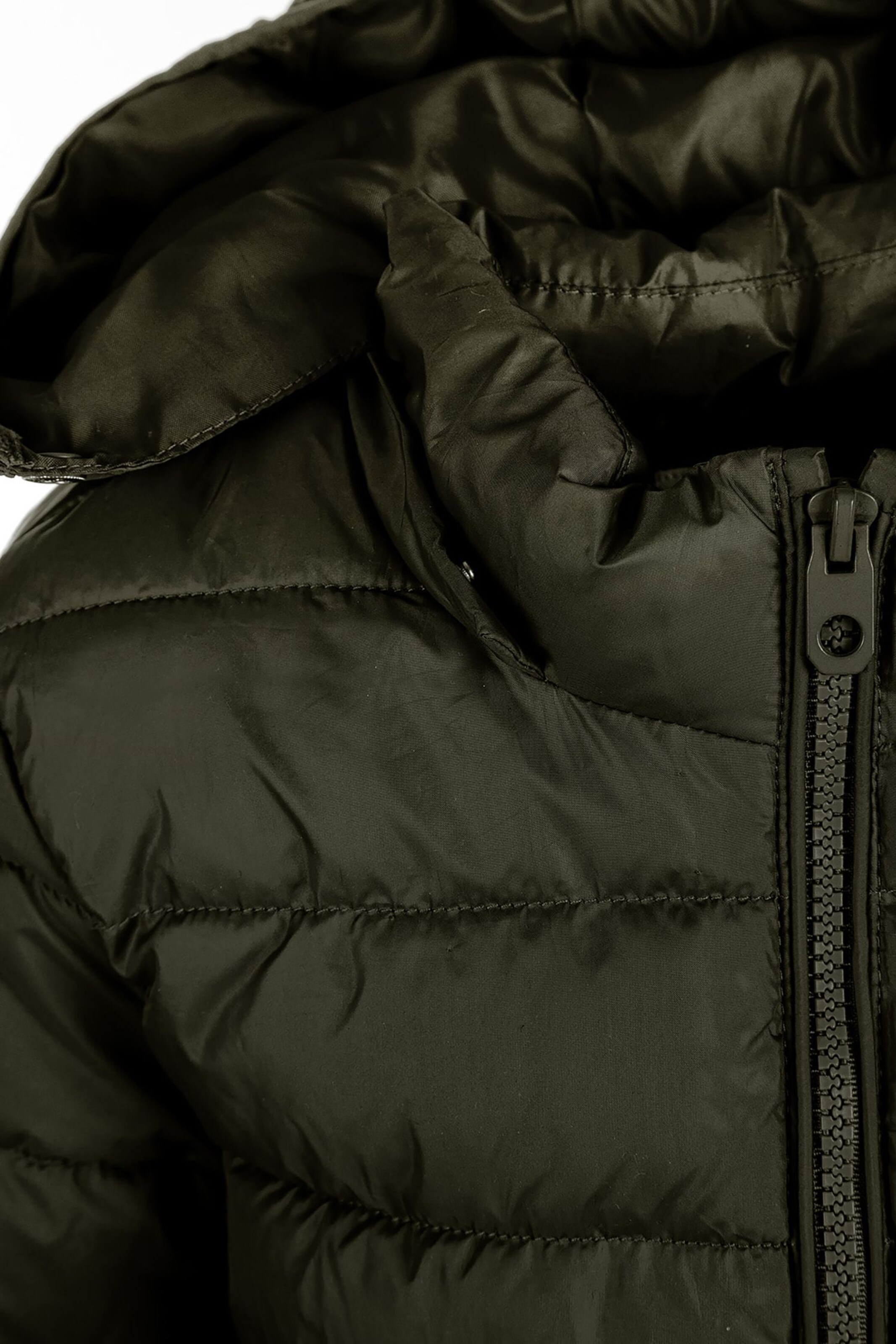 MINOTI Overgangsjakke i grøn