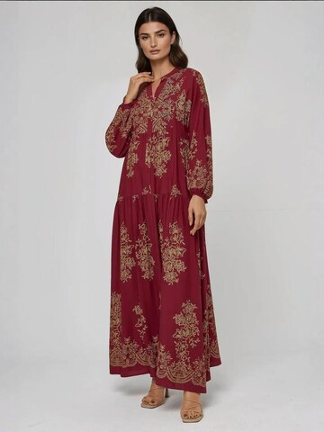 Hiccup Dress in Red