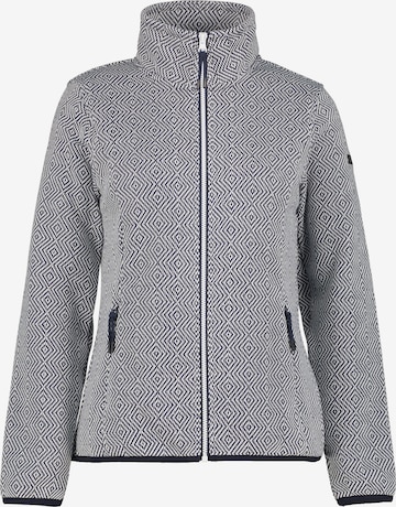 ICEPEAK Funktionsfleecejacke 'Aikes' in Grau: Vorderseite