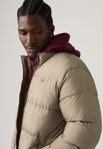LEVI'S ® Winter Jacket 'PIEDMONT' in Brown