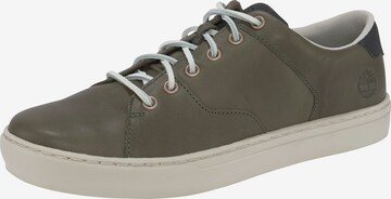 Sneaker bassa di TIMBERLAND in verde: frontale