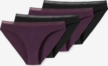 SCHIESSER Panty ' Cotton Lace ' in Purple: front