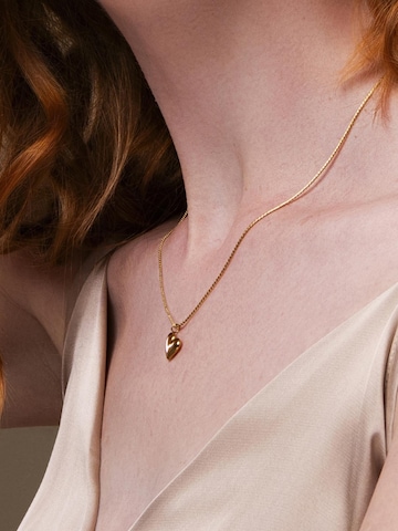 Chaîne 'Corazon' Amberz en or