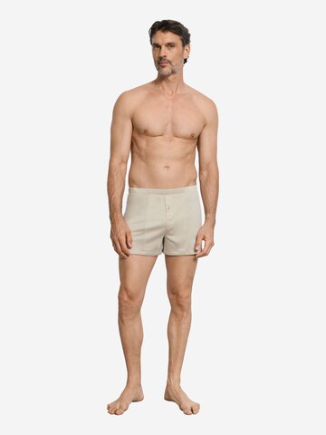 Hanro Boxer shorts ' Cotton Sporty ' in Beige