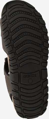 GEOX Hiking Sandals 'Mito' in Brown